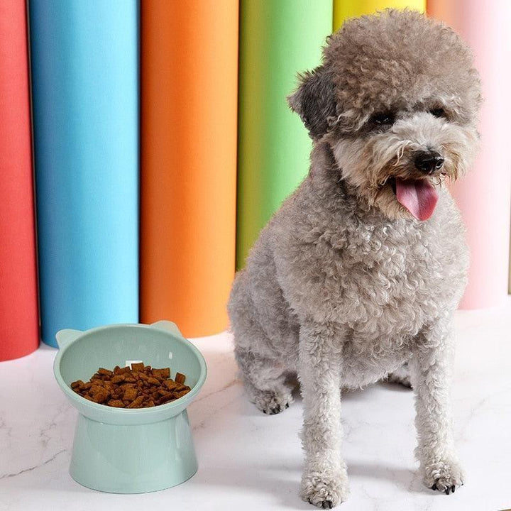 Tigela Multifuncional para Pets - Food Bowl